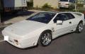 1988 Lotus Esprit Turbo