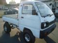 1990 Suzuki Carry 4WD