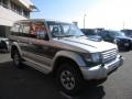 1994 Mitsubishi Pajero Exceed (V46) picture