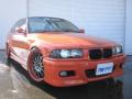 1994 BMW 3-Series 325i Custom LHD picture