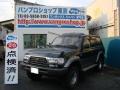 1995 Toyota Landcruiser VX LTD | Land Cruiser VX LTD (HDJ81) picture