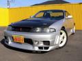 1995 Nissan Skyline GTS25T Type M  (ECR33)