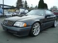 1994 Mercedes-Benz SL-Class 500SL | 500 SL (LHD) Brabus picture