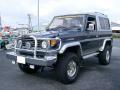 1993 Toyota Land Cruiser | Landcruiser ZX (HZJ73) FRP Top