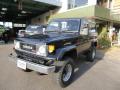 1988 Toyota Land Cruiser 70 LX (BJ74V) (FRP Top)