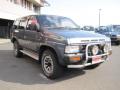 1992 Nissan Terrano (WHYD21)