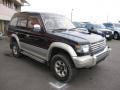 1994 Mitsubishi Pajero Kick Up Roof (V46) picture