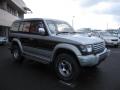 1995 Mitsubishi Pajero Exceed picture