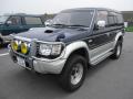 1994 Mitsubishi Pajero (V46)