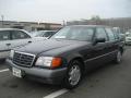 1993 Mercedes-Benz S-Class 500 SE (LHD) (140032) picture