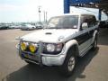 1995 Mitsubishi Pajero Exceed