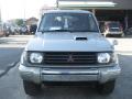 1995 Mitsubishi Pajero Exceed picture