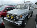 1990 Toyota Lancruiser (HZJ77)