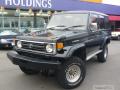 1994 Toyota Landcruiser 70 (HZJ77HV)