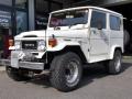 1980 Toyota Landcruiser (BJ41V)