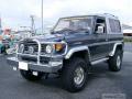 1993 Toyota Landcruiser ZX 70 (HZJ73HV) FRP TOP